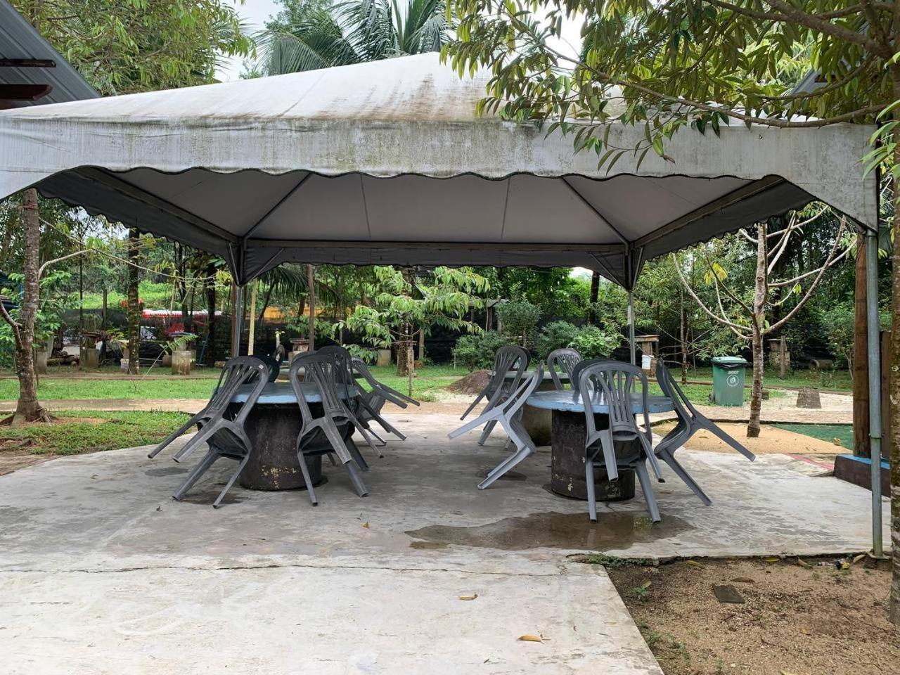 Bb Durio Chalet Kuala Terengganu Ngoại thất bức ảnh
